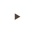 Play-icon.png